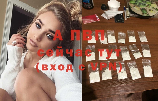 прущие грибы Бугульма