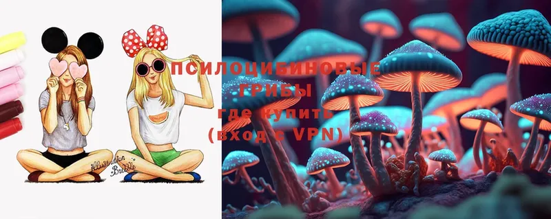 Псилоцибиновые грибы MAGIC MUSHROOMS  Киржач 